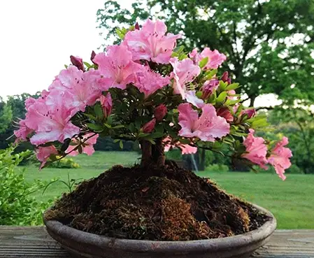 Seasonal Change Out Seasonal Change Out